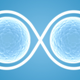 Illustration for article titled What If Your Ovaries Could Live Forever?